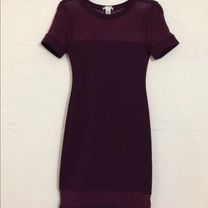 Plum Mesh Dress